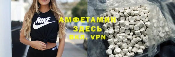 PSILOCYBIN Алзамай