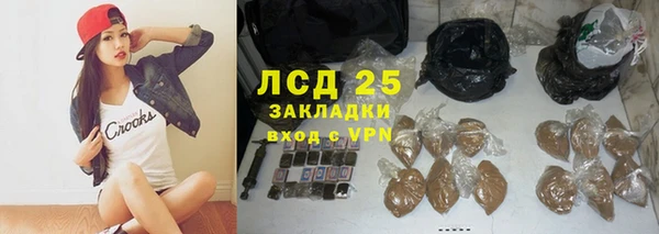 PSILOCYBIN Алзамай