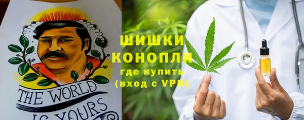 PSILOCYBIN Алзамай