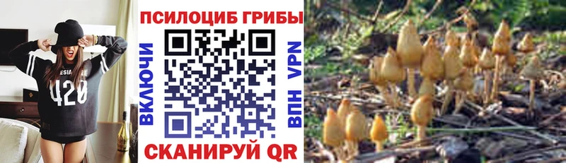 Псилоцибиновые грибы мицелий  купить закладку  Донецк 