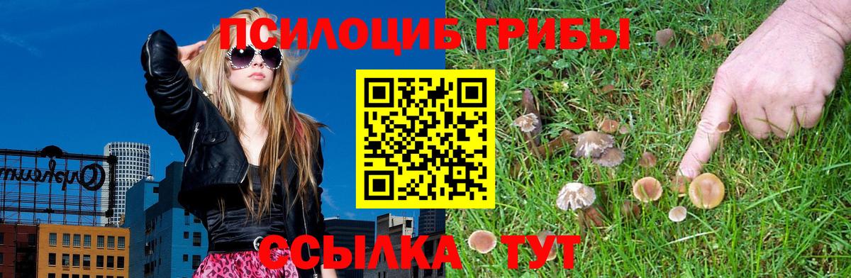 Псилоцибиновые грибы прущие грибы Донецк