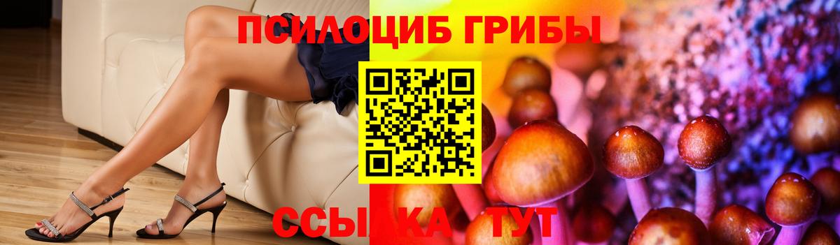 Донецк  Галлюциногенные грибы Psilocybe  Вход с VPN 
