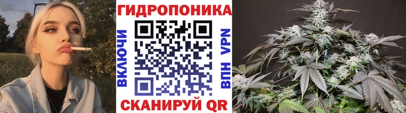 Канабис сатива  купить   Донецк 